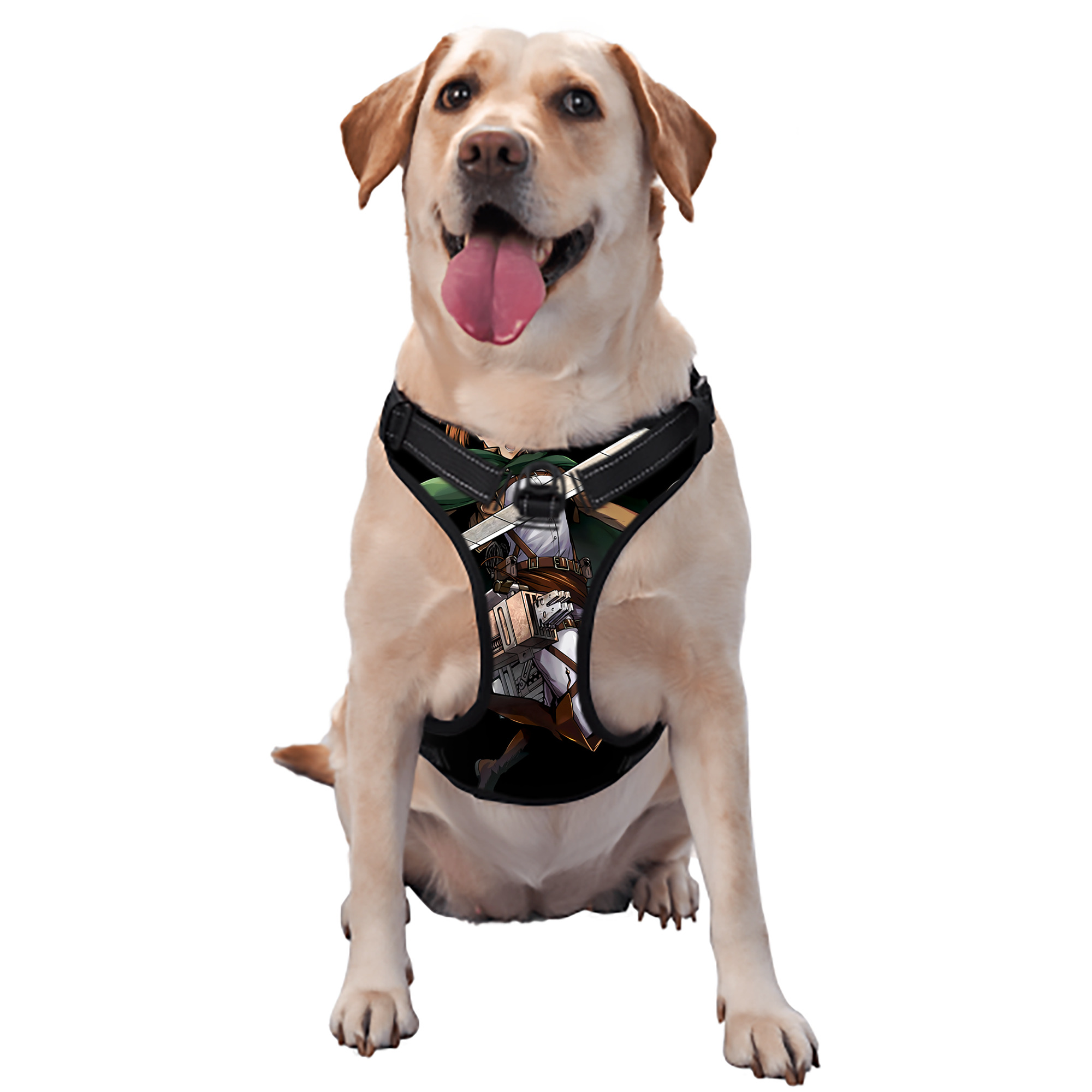 （画像用） 進撃の巨人 ペトラ·ラル Attack on Titan Petra Rall ペット用ハーネス